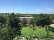 Top Umag