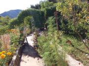 Apartman Matić Apartman Matić