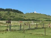 Top Spišské Podhradie