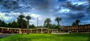 Top Yulee