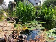 Top Magdalenka Top Magdalenka