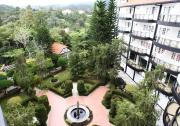 Top Cameron Highlands