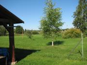 Top Kolkja Top Kolkja