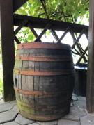 Top Zgornji Leskovec