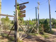 Top Algarrobo Top Algarrobo