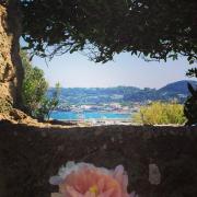 Top Ischia Top Ischia