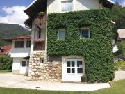 Top Jesenice