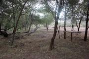Zaris Ranch
