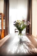 Apartament Sławkowska Apartament Sławkowska