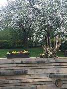 Top Wintzenheim Top Wintzenheim