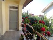 Top Otopeni Top Otopeni