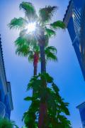 Top South Padre Island