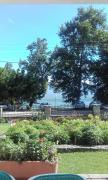 Top Star Dojran