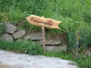 Top Gasenried