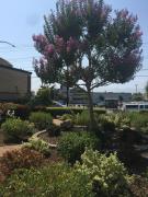 Hitching Post Studios Inn