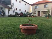 Top Vama Veche