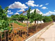 Apartments Stanko 1468 Apartments Stanko 1468