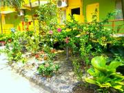 Top Palolem