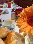 Top Lutago Top Lutago