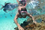 Top Porto de Galinhas