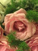 Top Piano di Sorrento