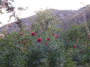 Nato Gesthouse in Uraveli