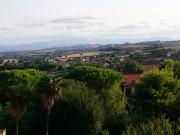 Top Montemarciano
