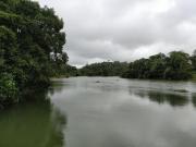 Top Madikeri