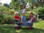 Top Schwartbuck Top Schwartbuck