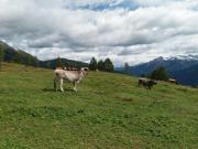 Top Sankt Lorenzen im Lesachtal