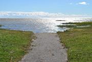 Top Pärnu