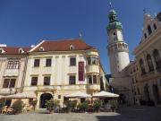 Top Sopron