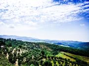 Top Gaiole in Chianti