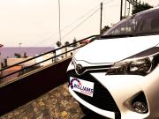 Cozy and Bright Apartment