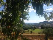 Agriturismo Le Macine-Poggio Cono