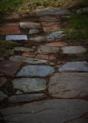 Top Vaiamonte Top Vaiamonte