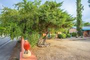 Top Wickenburg