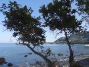 Top Agios Ioannis Pelio