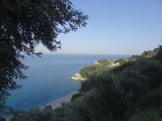 Top Agios Ioannis Pelio