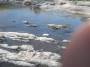 Top San Antonio de Arredondo