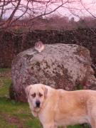 Top Valverde de la Vera