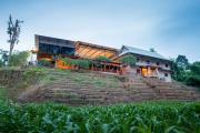 Top Thong Pha Phum