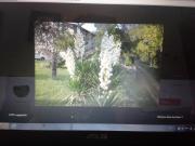 Top Sales del Llierca