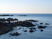 Top Kalamaki Chanion