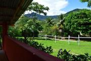 Top Tarapoto