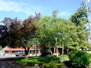 Top Klamath Falls