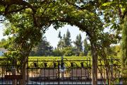Top St. Helena