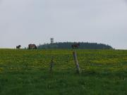 Top Hinterhermsdorf