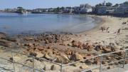 Top Rockport