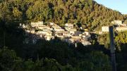 Top Gombitelli